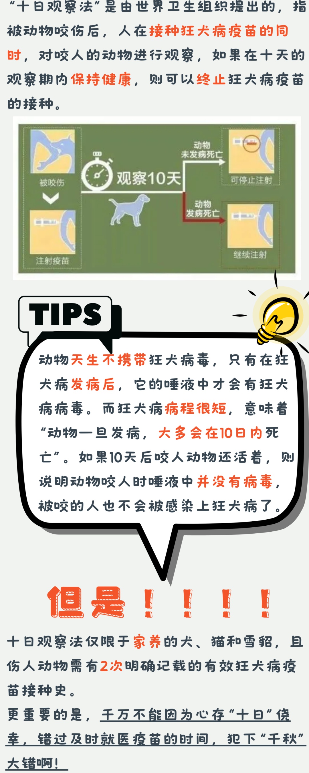 澳门管家婆四肖选一肖期期准,澳门管家婆四肖选一肖期期准——揭开神秘面纱下的真相