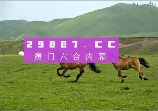 7777788888精准跑狗图正版,探索精准跑狗图正版，77777与88888的神秘结合