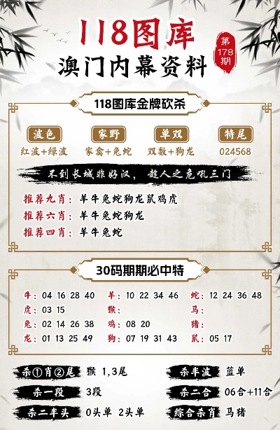 2024新澳今晚资料年051期,探索未来之门，新澳今晚资料年（2024年051期）展望与解析