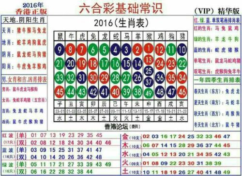 2024十二生肖49码表,揭秘2024十二生肖与数字彩票的奇妙联系——49码表中的奥秘