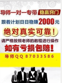 澳门天天开彩期期精准,澳门天天开彩期期精准，揭示背后的风险与挑战