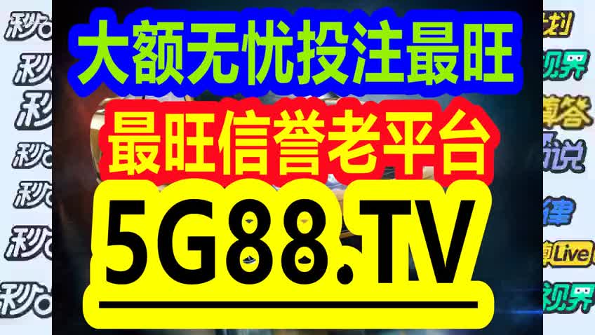 管家婆一码中一肖2024,探索未来，管家婆一码中一肖的奇幻之旅 2024