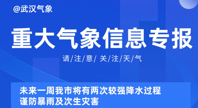 新奥精准资料免费提供510期,新奥精准资料免费提供第510期深度解析与应用展望