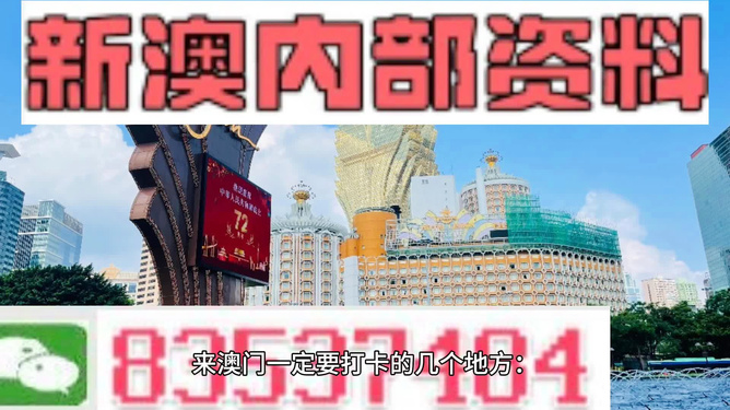 2025澳门最精准正最精准龙门,澳门2025最精准正最精准龙门，探索未来的奥秘与机遇