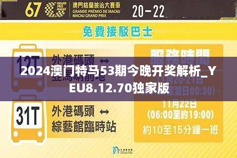 2025年澳门特马今晚,探索澳门特马的世界，2025年的今晚