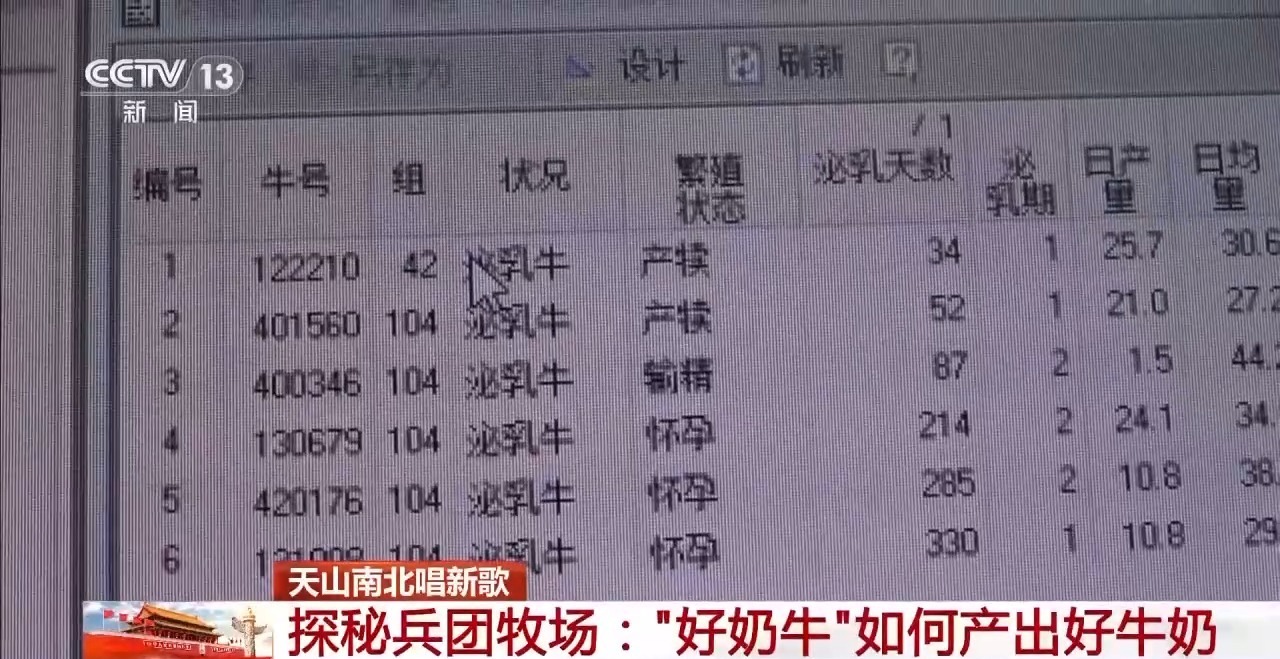 2023年澳门特马今晚开码,澳门特马今晚开码，探索彩票文化背后的魅力与挑战